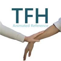 Touch for Health - Animated